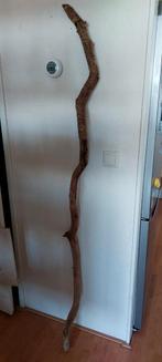 Lange houten tak voor bv in terrarium, Dieren en Toebehoren, Reptielen en Amfibieën, 0 tot 2 jaar