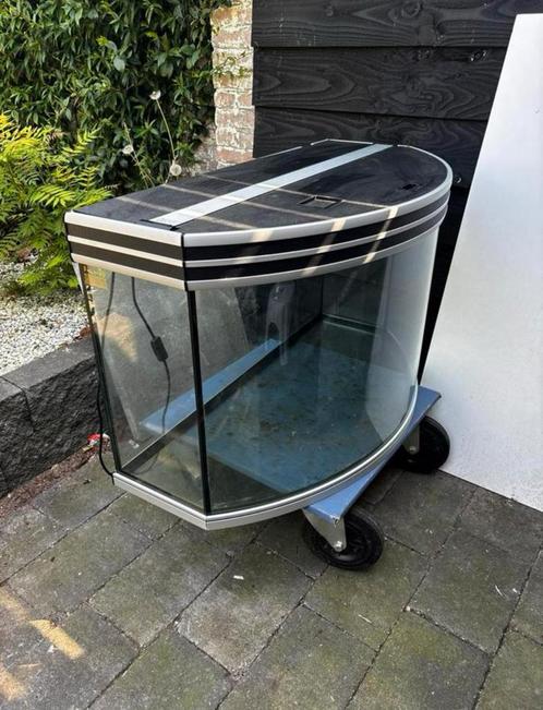 Aqualantis Panorama Aquarium 100x50x65, Dieren en Toebehoren, Vissen | Aquaria en Toebehoren, Leeg aquarium, Ophalen