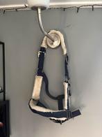 Bont halster qhp pony, Dieren en Toebehoren, Ophalen of Verzenden, Nieuw, Overige soorten