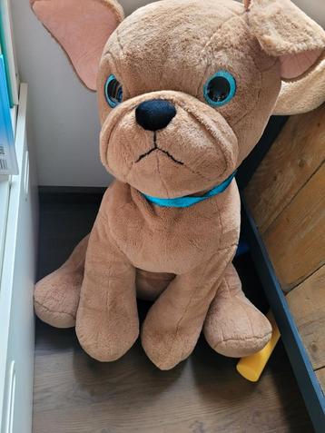 XXXL Hondenknuffel met Blauwe Halsband beschikbaar voor biedingen