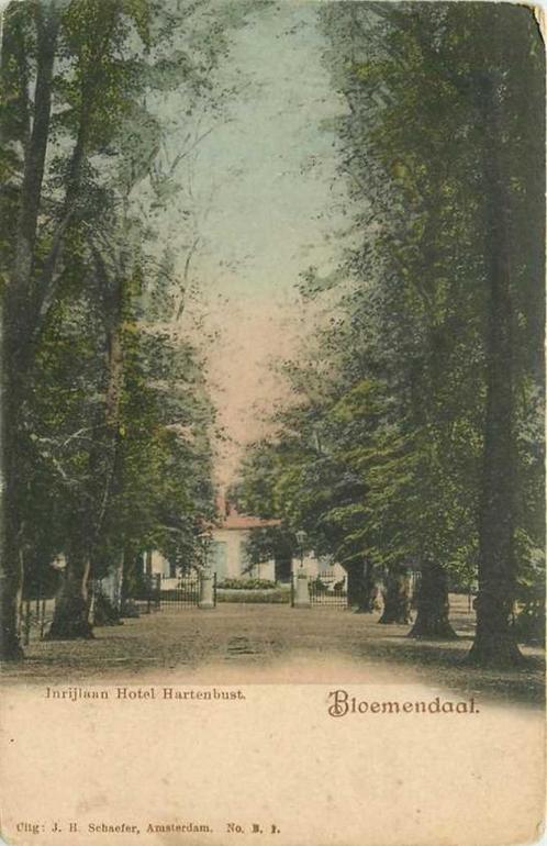 (300-057-021) Bloemendaal Inrijlaan Hotel Hartenlust, Verzamelen, Ansichtkaarten | Nederland, Noord-Holland, Verzenden