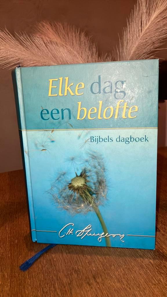 KR-1 Charles Haddon Spurgeon - Elke dag een belofte, Boeken, Godsdienst en Theologie, Gelezen, Ophalen of Verzenden