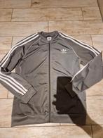 Adidas Originals Superstar Jasje, zgan, Kinderen en Baby's, Kinderkleding | Maat 164, Jongen of Meisje, Ophalen of Verzenden, Adidas Originals