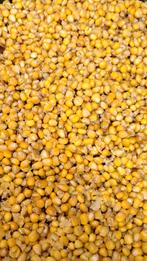 Mais vers bereid 20kg  20 euro, Ophalen of Verzenden, Nieuw, Overige typen