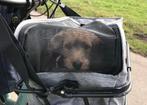 Honden draagtas van Flamingo zgan voor kleine hond, Ophalen, Zo goed als nieuw