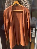Dames vest, Ophalen of Verzenden, Zo goed als nieuw, Maat 46/48 (XL) of groter, Bruin