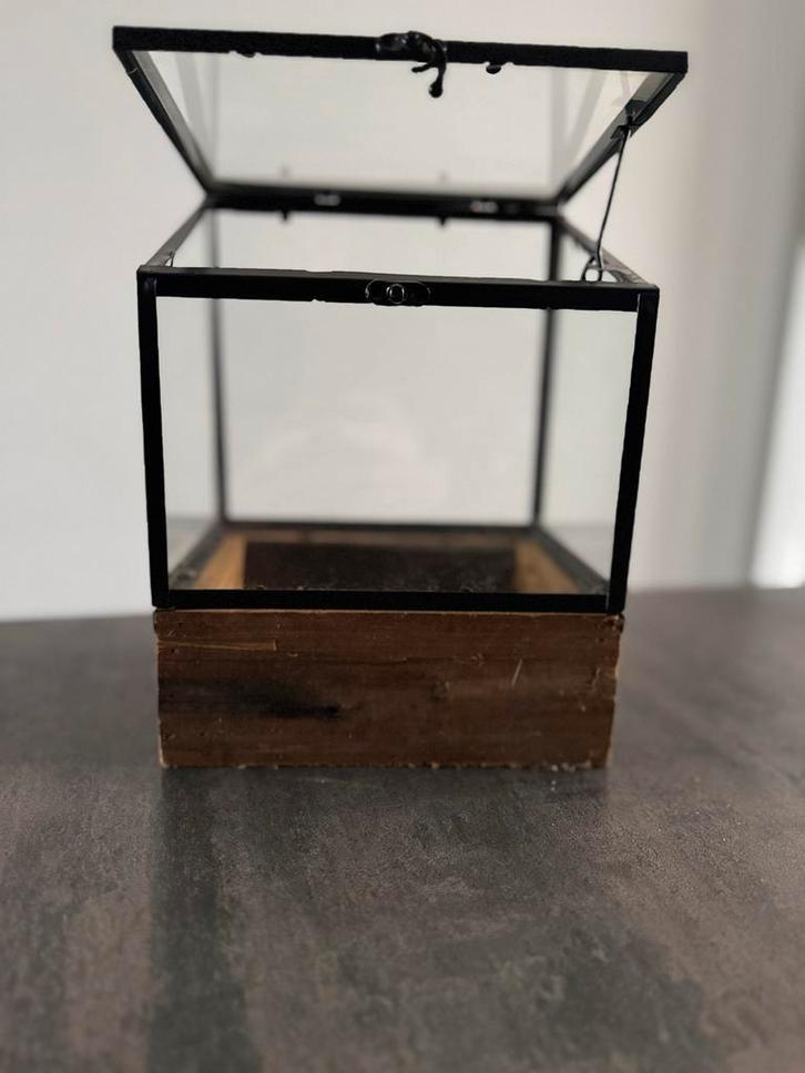 Kistje., Huis en Inrichting, Woonaccessoires | Kisten, Gebruikt, Minder dan 50 cm, 50 tot 100 cm, Glas, Ophalen