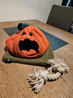 Cavia / rat tentje / schuil huisje, Dieren en Toebehoren, Ophalen of Verzenden, Zo goed als nieuw