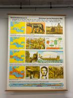 3 Hebri vintage schoolplaten, Antiek en Kunst, Ophalen, Natuur en Biologie