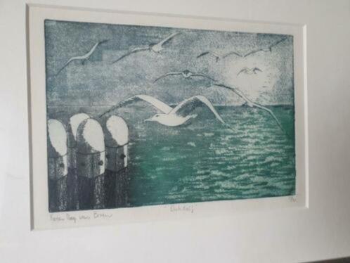 Karien May-van Boven kleurenets Dukdalf Meeuw Mooie lijst., Antiek en Kunst, Kunst | Etsen en Gravures, Ophalen