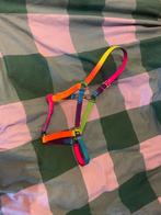 Pony halster, Ophalen of Verzenden, Nieuw, Overige soorten