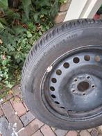 Winterbanden Continental TS850 op stalen velg, mt 205-55-16, Auto-onderdelen, Banden en Velgen, Ophalen, Gebruikt, 16 inch, Banden en Velgen