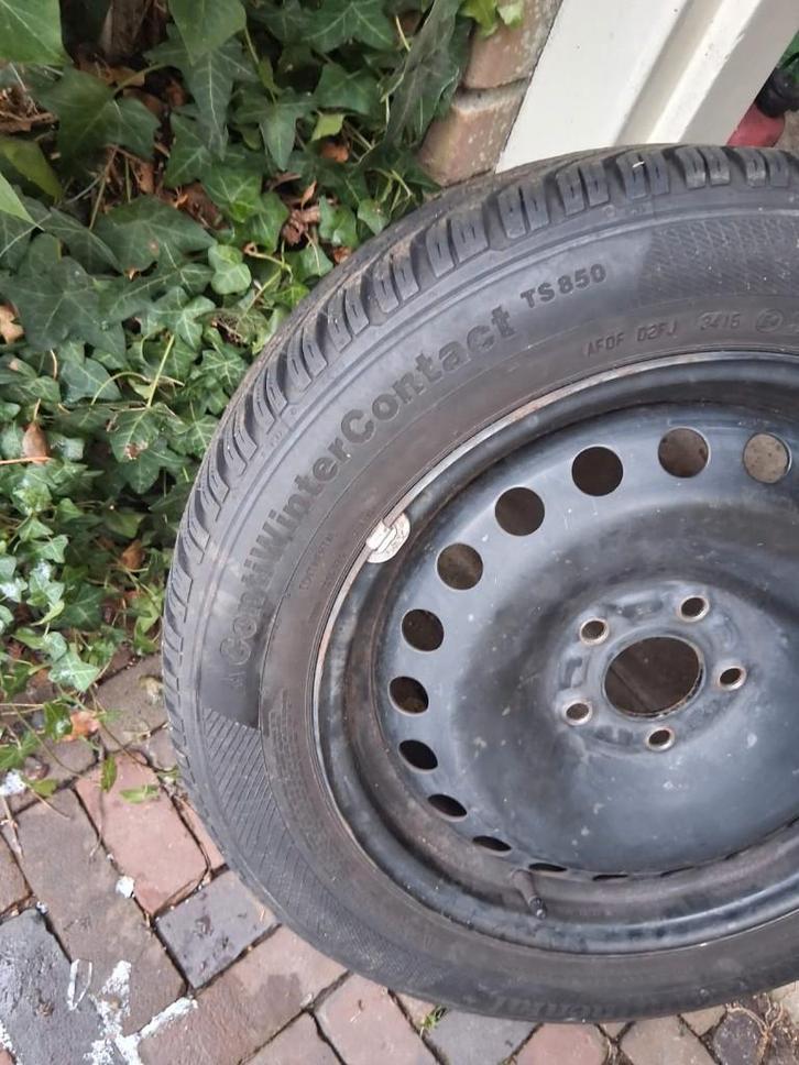 Winterbanden Continental TS850 op stalen velg, mt 205-55-16, Auto-onderdelen, Banden en Velgen, Banden en Velgen, Winterbanden