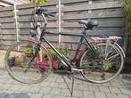 Batavus Cibola herenfiets, Fietsen en Brommers, Fietsen | Oldtimers, Ophalen