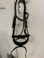 Anky hoofdstel cob, Dieren en Toebehoren, Paarden en Pony's | Hoofdstellen en Tuigage, Ophalen of Verzenden, Nieuw, Dressuur