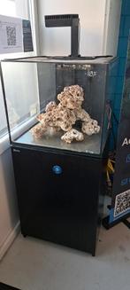 Red sea reefer 170 zeeaquarium evt incl of excl techniek, Ophalen, Leeg aquarium