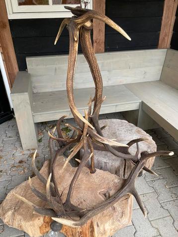 Geweilamp, kroonluchter, geweien, edelhert, 3 fittingen beschikbaar voor biedingen
