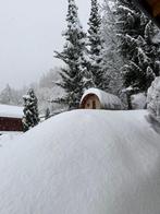 21/2 vrijgekomen! Hte Nendaz 6p op toplokatie, wellness ,EV, Vakantie, Dorp, In bos, Chalet, Bungalow of Caravan, Open haard