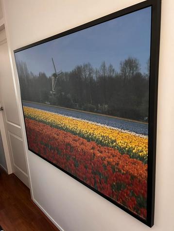 Ikea tulpen print (myrarp)  beschikbaar voor biedingen