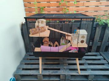 Knaagdierkooi met toebehoren voor hamster, rat, gerbil, muis beschikbaar voor biedingen