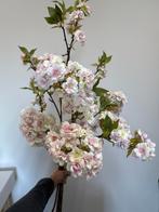 Zijden Bloesemtakken - Set van 4, Huis en Inrichting, Woonaccessoires | Kunstplanten en Kunstbloemen, Ophalen of Verzenden, Nieuw