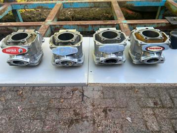 Rotax max Evo non evo junior cilinder beschikbaar voor biedingen