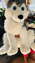 Mooi grote knuffel husky, Ophalen, Zo goed als nieuw