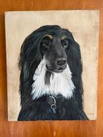 Schilderij Afghaanse windhond, Ophalen of Verzenden, Zo goed als nieuw, Minder dan 50 cm, Schilderij
