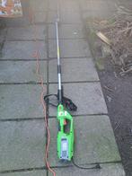 Hegeschaar, Ophalen of Verzenden