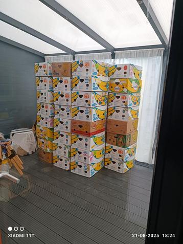 Bananendozen 40 stuks €15 beschikbaar voor biedingen