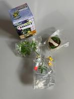 De Pokémon Bonsai 3 – Jirachi & Chimecho van Rement, Verzenden, Nieuw, Overige typen