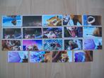 Ice Age stickers van Lidl Duitsland - 19 stuks, Ophalen of Verzenden, Nieuw, Film, Tv of Omroep