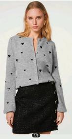 Fabienne Chapot Lidia cardigan/ vest maat S *nieuw *, Nieuw, Ophalen of Verzenden, Fabienne Chapot, Maat 36 (S)