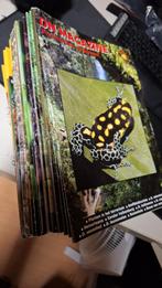 17 stuks DN gifkikkermagazines 2005-2010, Ophalen of Verzenden