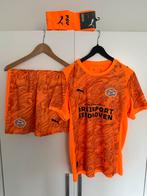 PSV Keeperstenue 2025/2026, Puma, Maat 48/50 (M), Nieuw, Oranje