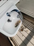 Fonteintje met kraan, Ophalen of Verzenden, Gebruikt, Chroom, Wastafel