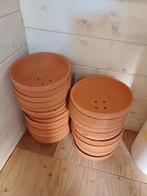 Broedschalen, Dieren en Toebehoren, Vogels | Duiven, Geslacht onbekend, Postduif