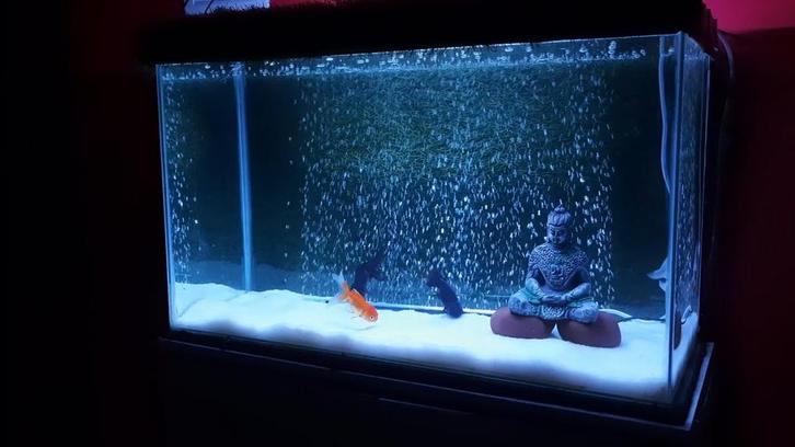 Aquarium bubbel muur lamp/ pomp, Dieren en Toebehoren, Vissen | Aquaria en Toebehoren, Leeg aquarium, Ophalen of Verzenden