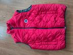 NZA bodywarmer, Ophalen, Maat 56/58 (XL), Zo goed als nieuw, NZA