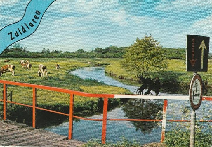 ZUIDLAREN Brug Landschap Koeien, Verzamelen, Ansichtkaarten | Nederland, Gelopen, Drenthe, 1980 tot heden, Verzenden