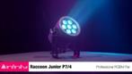 Infinity Raccoon IP 65 spot, Muziek en Instrumenten, Licht en Laser, Ophalen of Verzenden, Nieuw, Licht, Kleur