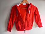 Bikkembergs Vest Maat 116, Gebruikt, Trui of Vest, Ophalen of Verzenden, Jongen