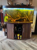 Juwel vision 260 met helialux verlichting, Dieren en Toebehoren, Ophalen, Zo goed als nieuw, Leeg aquarium