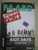 twee posters van PUSSY RIOT, Rechthoekig Staand, Nieuw, Ophalen of Verzenden, A1 t/m A3