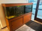 Groot aquarium met meubel incl. vissen & filtersysteem, Dieren en Toebehoren, Vissen | Aquaria en Toebehoren, Ophalen, Zo goed als nieuw