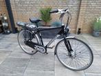 Giant Twist Lite Ebike maat M, Fietsen en Brommers, Ophalen of Verzenden, Zo goed als nieuw, Overige merken