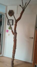 Katten krabpaal boomstam, Ophalen