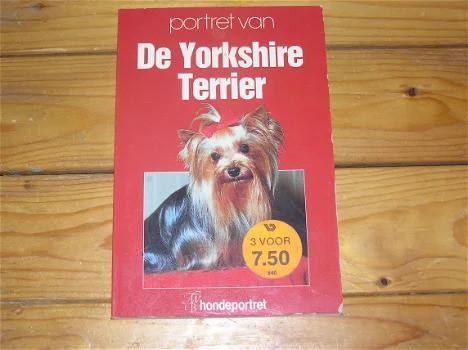 Portret van De Yorkshire Terrier., Boeken, Dieren en Huisdieren, Gelezen, Honden, Ophalen of Verzenden