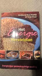 T. Visser - Het Energie Herstelplan, Boeken, Ophalen of Verzenden, Gelezen, T. Visser; M. de Waal