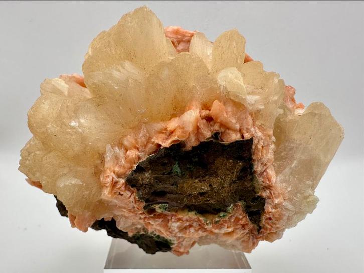 Stilbiet met Calcietbloemen – Jalgaon, India, Verzamelen, Mineralen en Fossielen, Mineraal, Ophalen of Verzenden